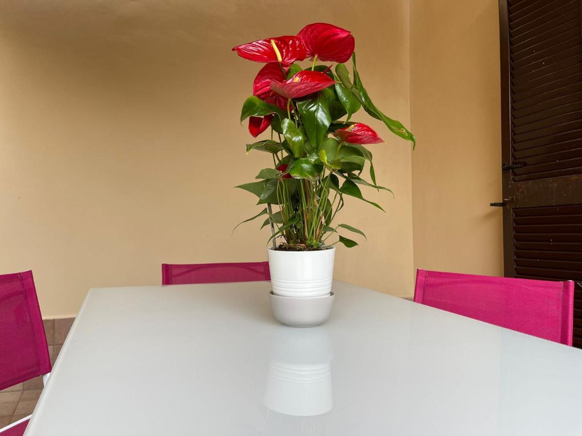 Flowers In Roma Exterior foto